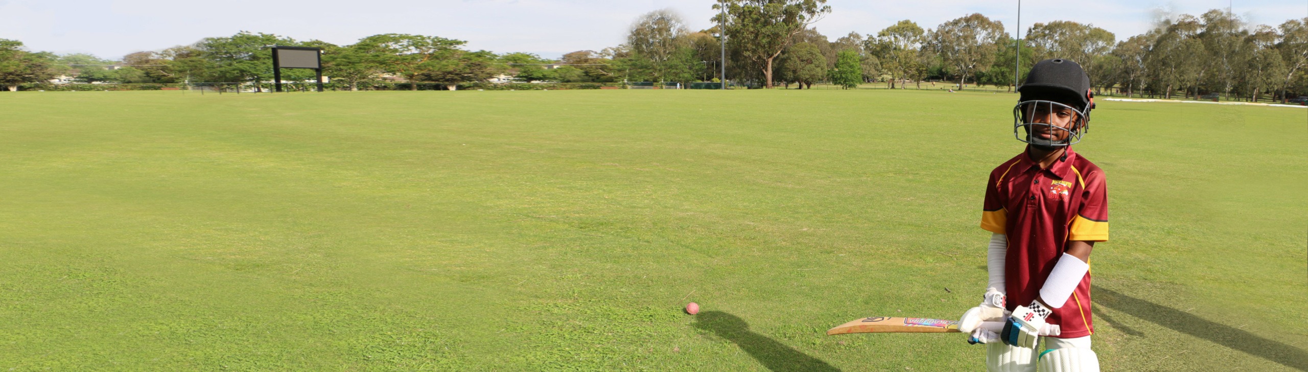 Club resources banner for North Balwyn Cricket Club