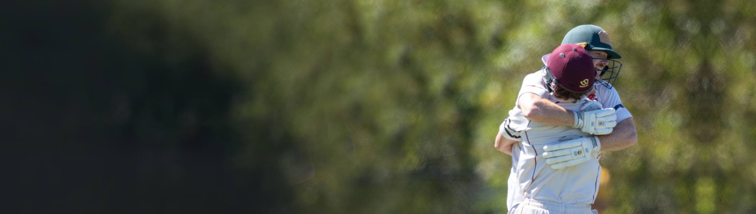 Club records banner for North Balwyn Cricket Club