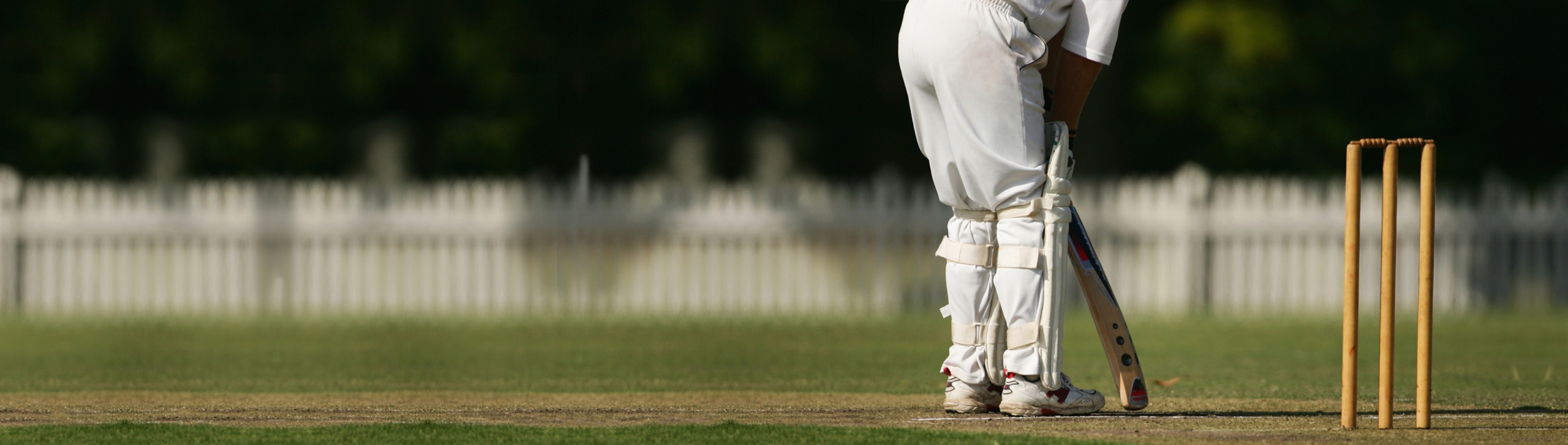 About banner for NBCC About banner for NBCC