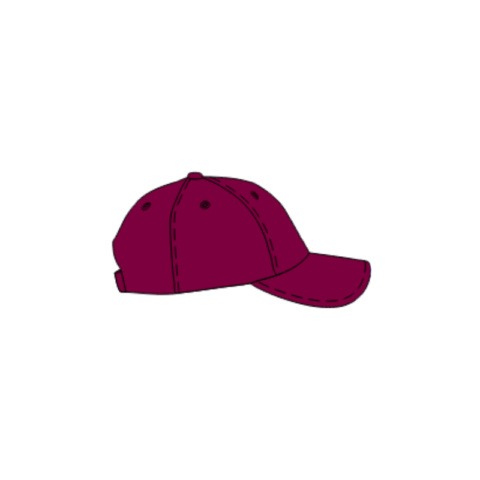 Elite Cap