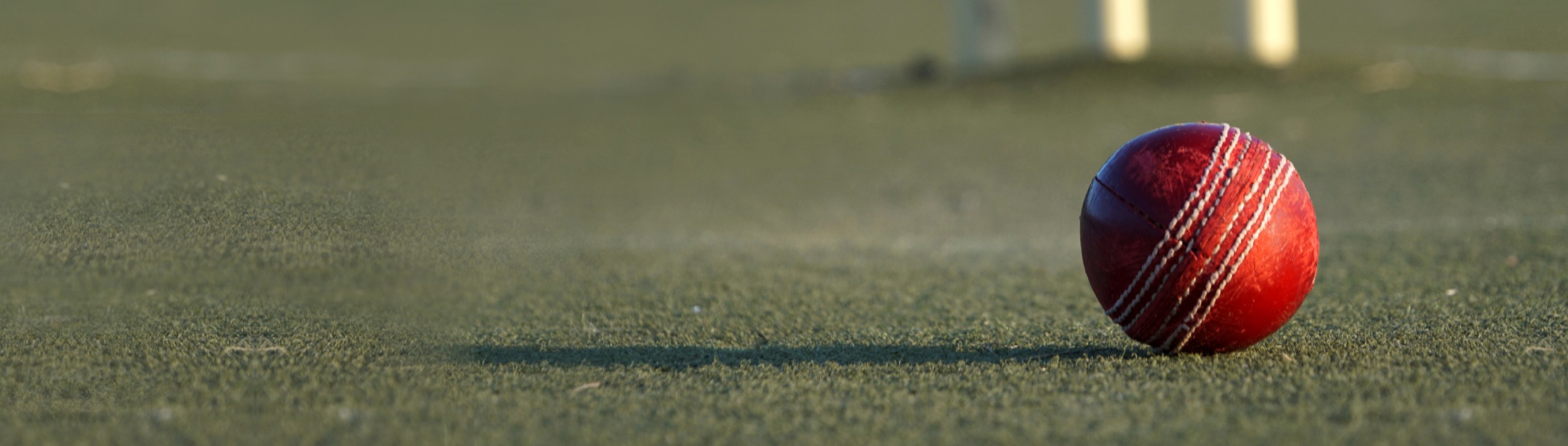 Sponsorships benefits banner for North Balwyn Cricket Club